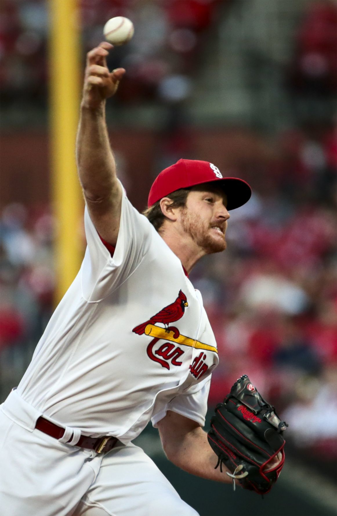 Cardinals see red